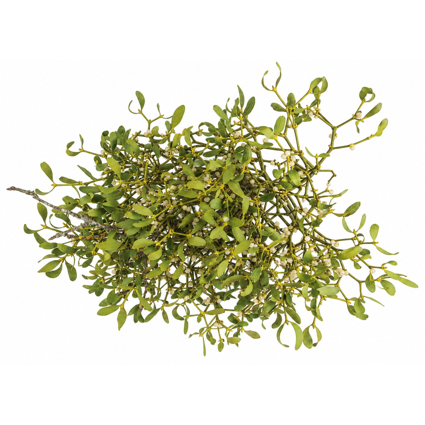 Mistelkrone natur, mittelgroß, ca. 35-50 cm Ø