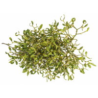 Mistelkrone natur, mittelgroß, ca. 35-50 cm Ø