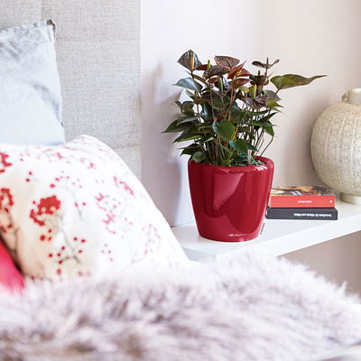 Lechuza 'Classico LS 28', scarlet-rot, ca. Ø 28 x H 26 cm Lechuza 'Classico LS 28', scarlet-rot, ca. Ø 28 x H 26 cm