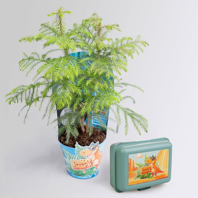 Dino Snack®, Benny, Zimmertanne, Topf-Ø 14 cm, mit Brotdose Dino Snack®, Benny, Zimmertanne, Topf-Ø 14 cm, mit Brotdose