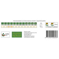 Wildtulpen Pulchella Persian Pearl, pink, 10 Blumenzwiebeln