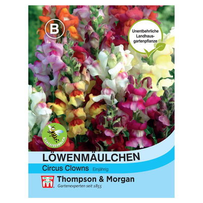 Saatgut, Löwenmäulchen 'Circus Clowns' Saatgut, Löwenmäulchen 'Circus Clowns'