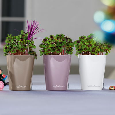 Lechuza 'Mini-Deltini', taupe, ca. 10 x 10 x H 13 cm