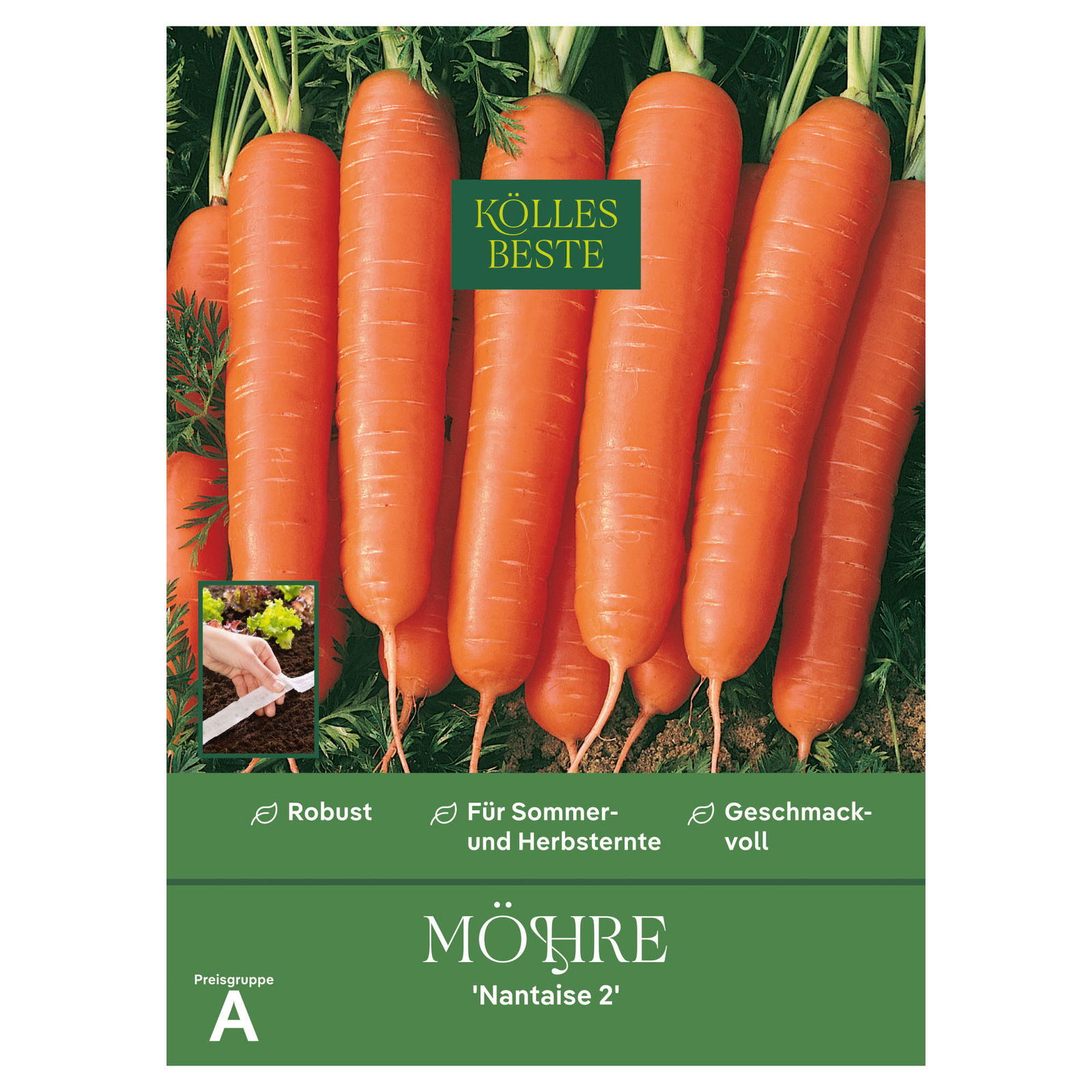 Kölles Beste Saatgut Möhre 'Nantaise 2', orange