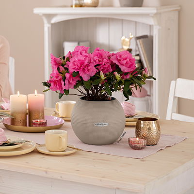 Lechuza 'Puro Color 20', sandbraun, ca. Ø 20 x H 16 cm