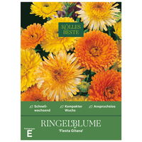 Kölles Beste Blumensamen, Ringelblume 'Fiesta Gitana'