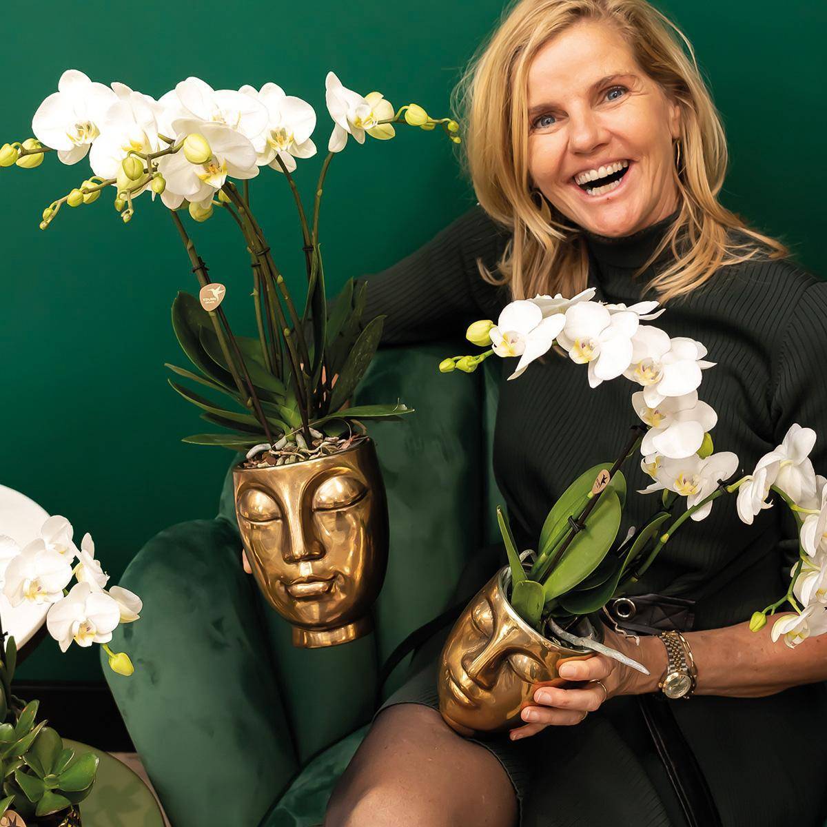 Geschenkset Orchidee & Sukkulente, gold, inkl. Übertöpfen und Dekotablett