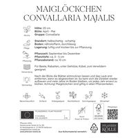 Maiglöckchen (Convallaria Majalis) weiß, 5 Blumenzwiebeln