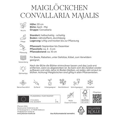 Maiglöckchen (Convallaria Majalis) weiß, 5 Blumenzwiebeln Maiglöckchen (Convallaria Majalis) weiß, 5 Blumenzwiebeln