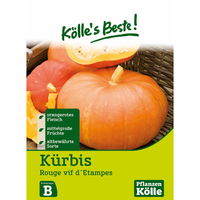 Kölle's Beste Gemüsesamen Kürbis 