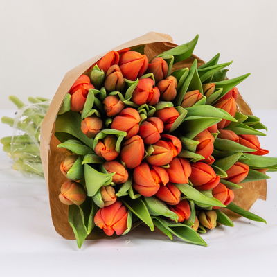50 orangene Tulpen