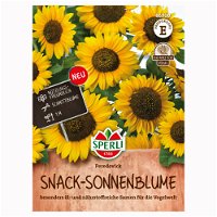 Blumensamen, Snack-Sonnenblume 'Peredovick', gelb