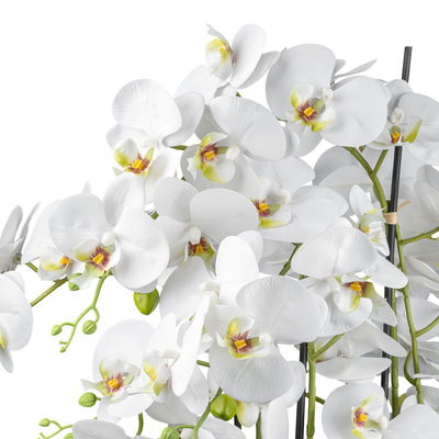 Kunstpflanze Phalaenopsis, weiß, Höhe ca. 63 cm Kunstpflanze Phalaenopsis, weiß, Höhe ca. 63 cm