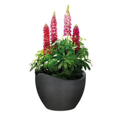 Scheurich Pflanzgefäß 'Wave Globe', schwarz granit, ca. Ø 30 x H 22 cm