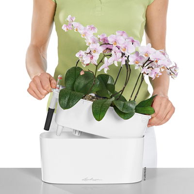 Lechuza 'Delta 10', anthrazit, ca. 30 x 11 x H 13 cm Lechuza 'Delta 10', anthrazit, ca. 30 x 11 x H 13 cm