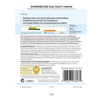 Thompson & Morgan Saatgut, Sonnenblume 'Solar Flash' Thompson & Morgan Saatgut, Sonnenblume 'Solar Flash'