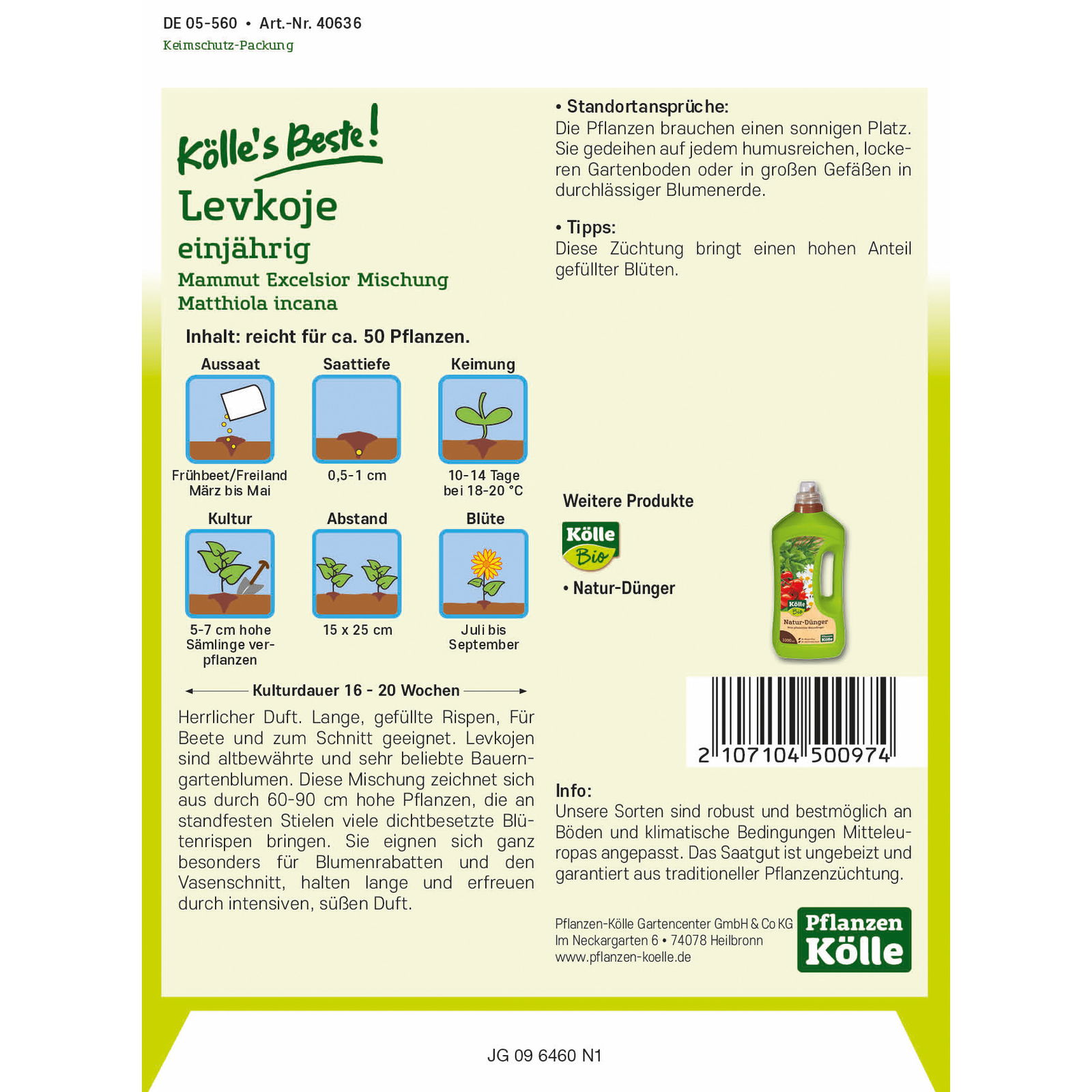 Kölle's Beste Blumensamen Levkoje Mammut Excel. Mix