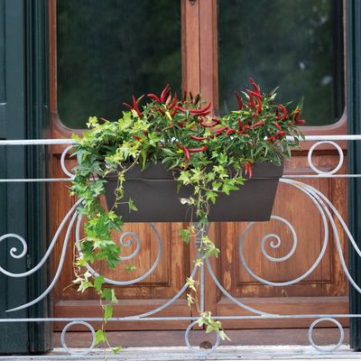 Pflanzkasten 'Like', grau Pflanzkasten 'Like', grau