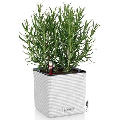 Lechuza 'Cube Color 14', weiß, ca. 14 x 14 x H 13,5 cm