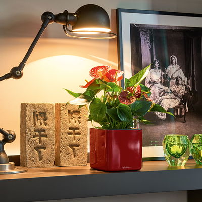 Lechuza 'Cube Glossy 14', scarlet-rot, ca. 14 x 14 x H 13,5 cm