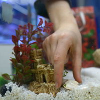 Gartenschule Gartenschule