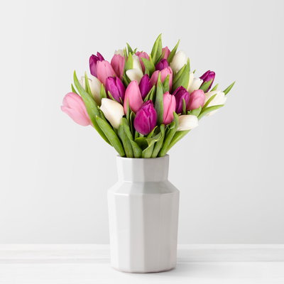 30 Tulpen, weiß, lila & rosa