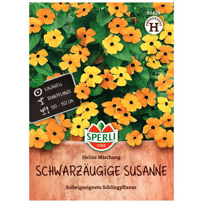 Blumensamenmischung, 'Schwarzäugige Susanne' Blumensamenmischung, 'Schwarzäugige Susanne'