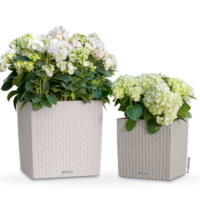 Lechuza 'Cube Cottage 30', sandbraun, ca. 29,5 x 29,5 x H 30 cm Lechuza 'Cube Cottage 30', sandbraun, ca. 29,5 x 29,5 x H 30 cm