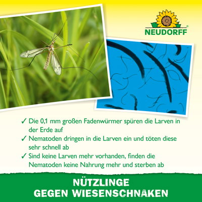 Neudorff Bestell-Set Nützlinge gegen Wiesenschnacken, 50 Mio Stück Neudorff Bestell-Set Nützlinge gegen Wiesenschnacken, 50 Mio Stück
