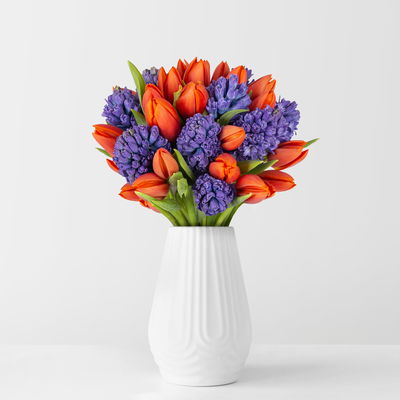 Schnittblumen-Mix aus 20 orangenen Tulpen & 9 blauen Hyazinthen Schnittblumen-Mix aus 20 orangenen Tulpen & 9 blauen Hyazinthen