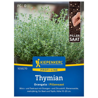 Saatgut Thymian 'Orangelo' Saatgut Thymian 'Orangelo'