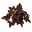 Süßkartoffel, dunkellaubig, Zierform, Topf-Ø 12 cm, 6er-Set