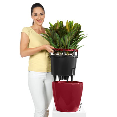 Lechuza 'Classico LS 35', scarlet-rot, ca. Ø 35 x H 33 cm