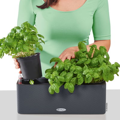 Lechuza 'Cube Color Triple', schiefergrau, ca. 40 x 14 x H 13,5 cm Lechuza 'Cube Color Triple', schiefergrau, ca. 40 x 14 x H 13,5 cm