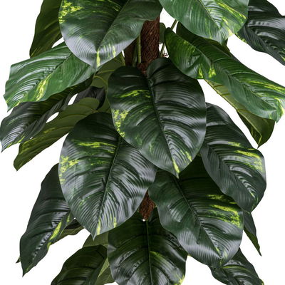 Künstlicher Philodendron scandens, Höhe ca. 150 cm Künstlicher Philodendron scandens, Höhe ca. 150 cm