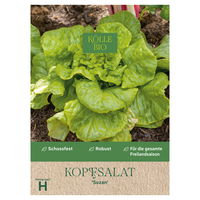 Kölle Bio Gemüsesamen, Kopfsalat 'Suzan'