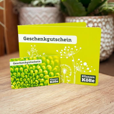 Gutschein-Karte 'Chrysantheme' Gutschein-Karte 'Chrysantheme'