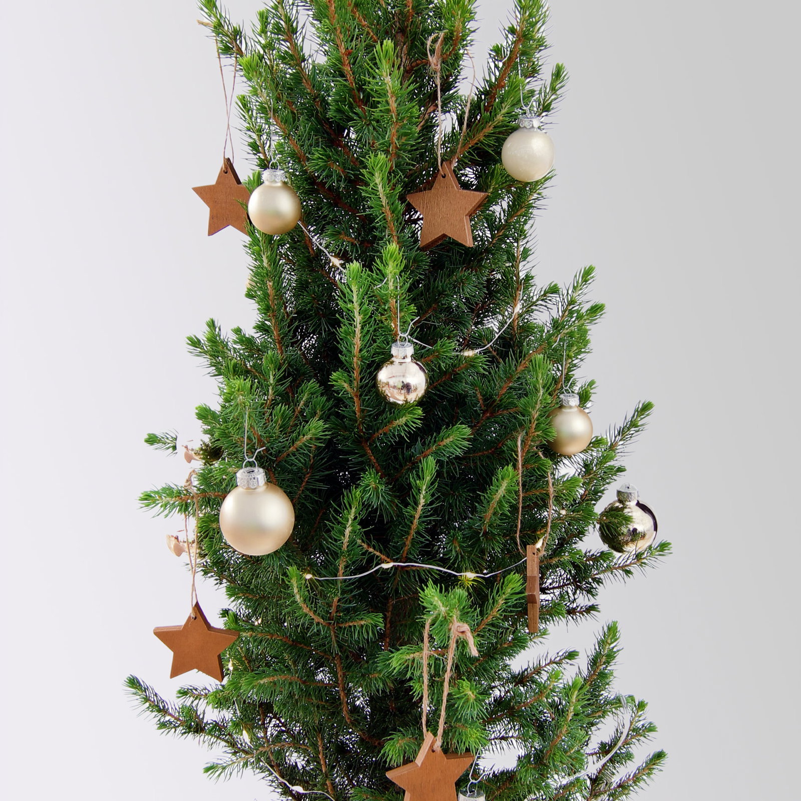 Weihnachtsbäumchen inkl. Deko, champagner-gold, Höhe ca. 50 cm, Topf-Ø 23 cm Weihnachtsbäumchen inkl. Deko, champagner-gold, Höhe ca. 50 cm, Topf-Ø 23 cm