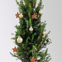 Weihnachtsbäumchen inkl. Deko, champagner-gold, Höhe ca. 50 cm, Topf-Ø 23 cm Weihnachtsbäumchen inkl. Deko, champagner-gold, Höhe ca. 50 cm, Topf-Ø 23 cm