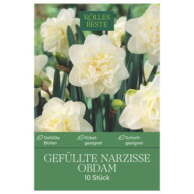 XXL Gefüllte Narzissen Obdam weiß, 10 Blumenzwiebeln XXL Gefüllte Narzissen Obdam weiß, 10 Blumenzwiebeln