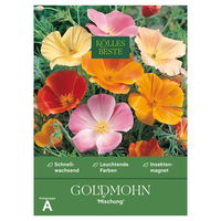 Kölles Beste Blumensamen Goldmohn (Eschscholzia) Mischung