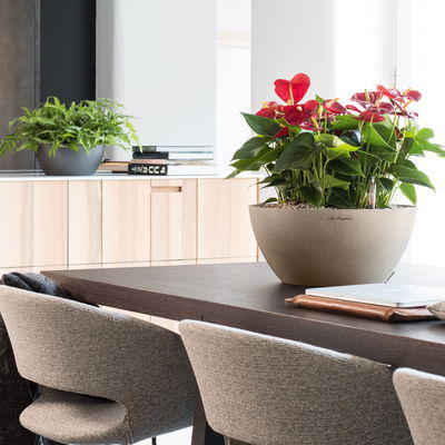 Lechuza 'Cubeto Stone 30', sandbeige, ca. Ø 30 x 13,5 cm Lechuza 'Cubeto Stone 30', sandbeige, ca. Ø 30 x 13,5 cm