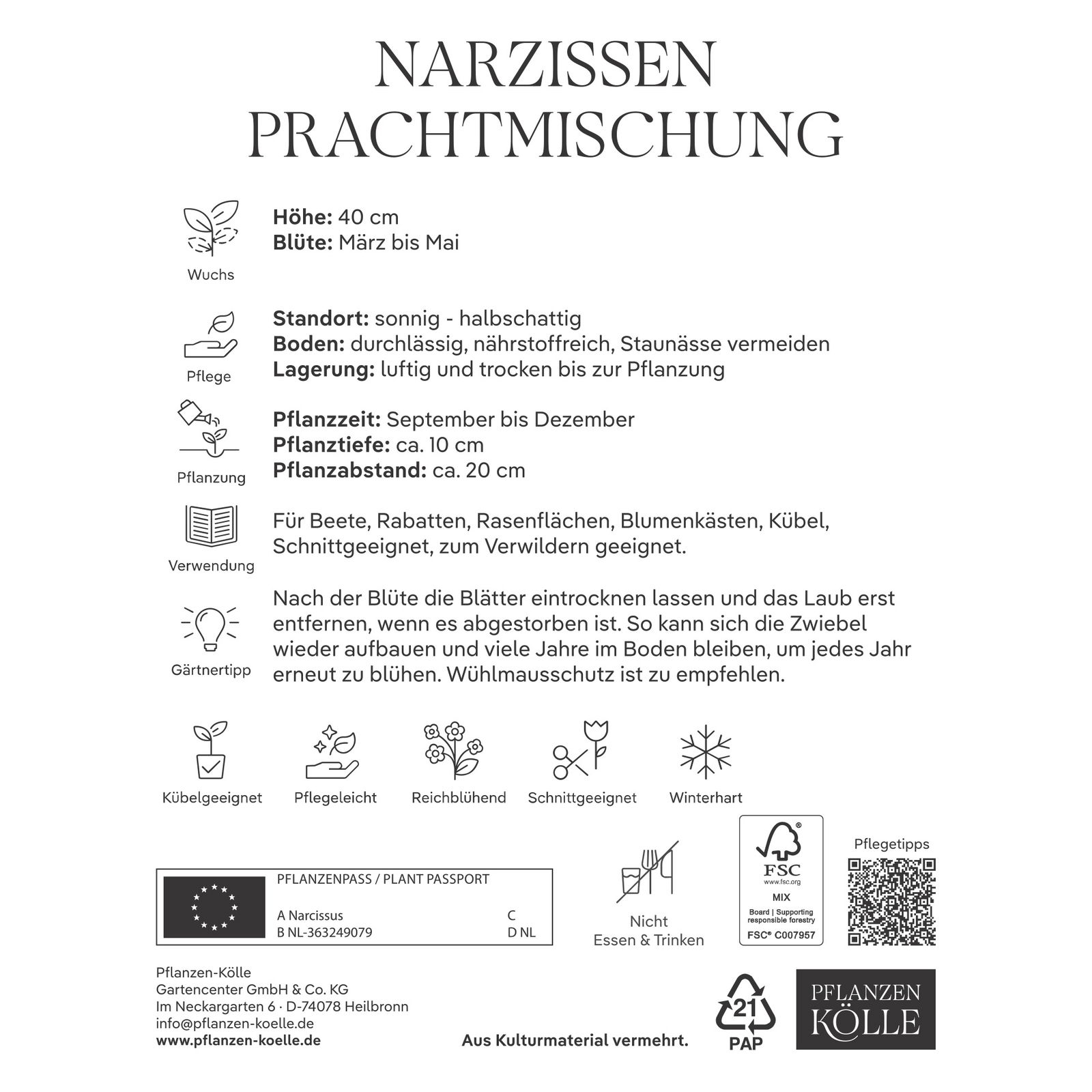 Narzissen Prachtmischung 15 Blumenzwiebeln
