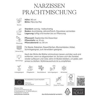 Kölles Beste Narzissen Prachtmischung 15 Blumenzwiebeln Kölles Beste Narzissen Prachtmischung 15 Blumenzwiebeln