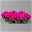 Petunie 'GO!Tunia® Neon Pink'' neon pink, Topf-Ø 13 cm, 6er-Set