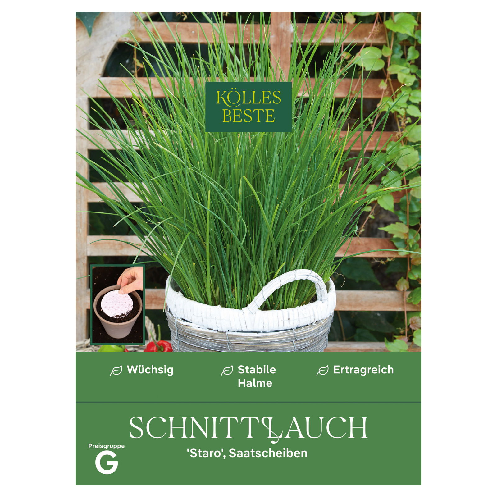Kölles Beste Saatscheibe Schnittlauch 'Staro', grün