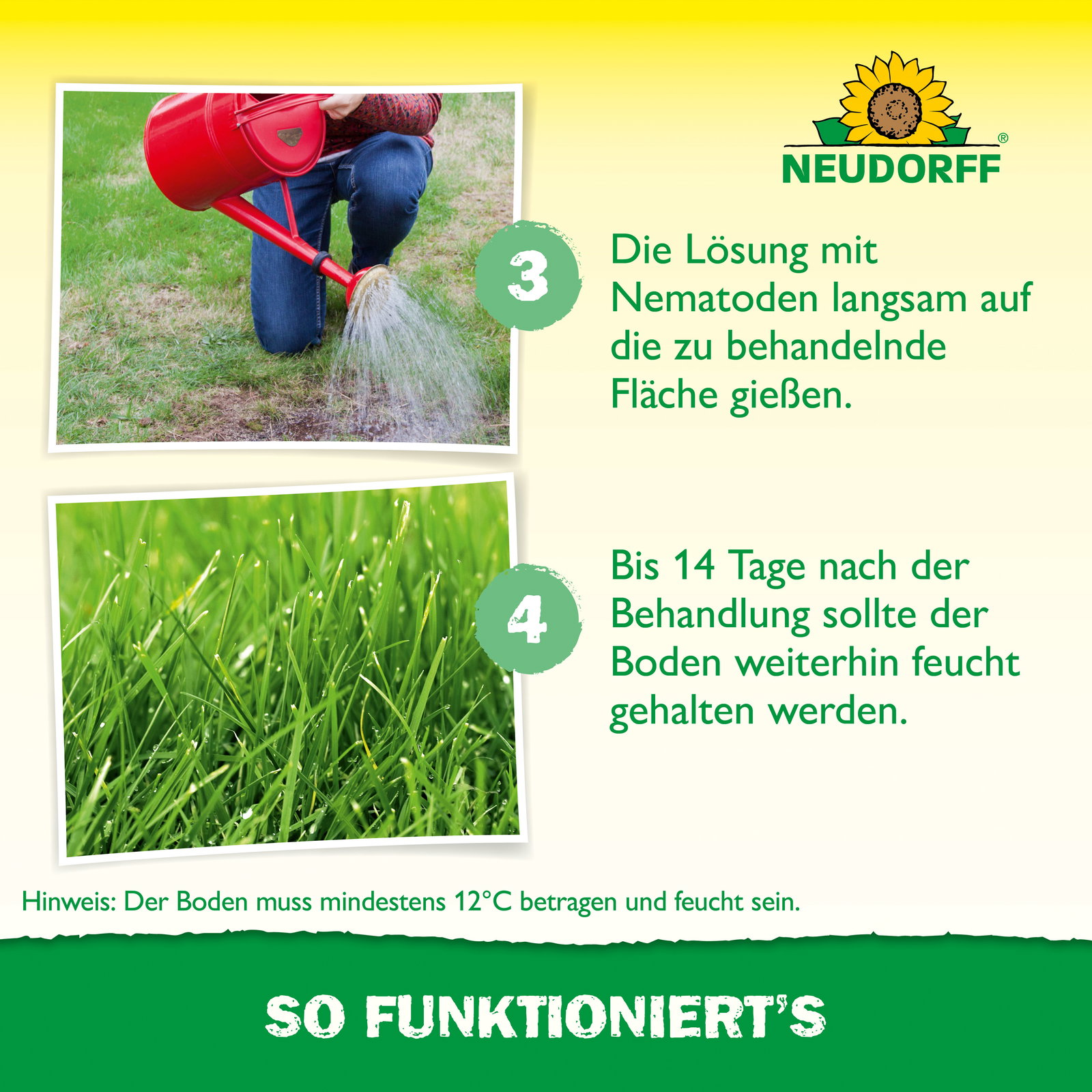 Neudorff Bestell-Set Nützlinge gegen Wiesenschnacken, 50 Mio Stück Neudorff Bestell-Set Nützlinge gegen Wiesenschnacken, 50 Mio Stück