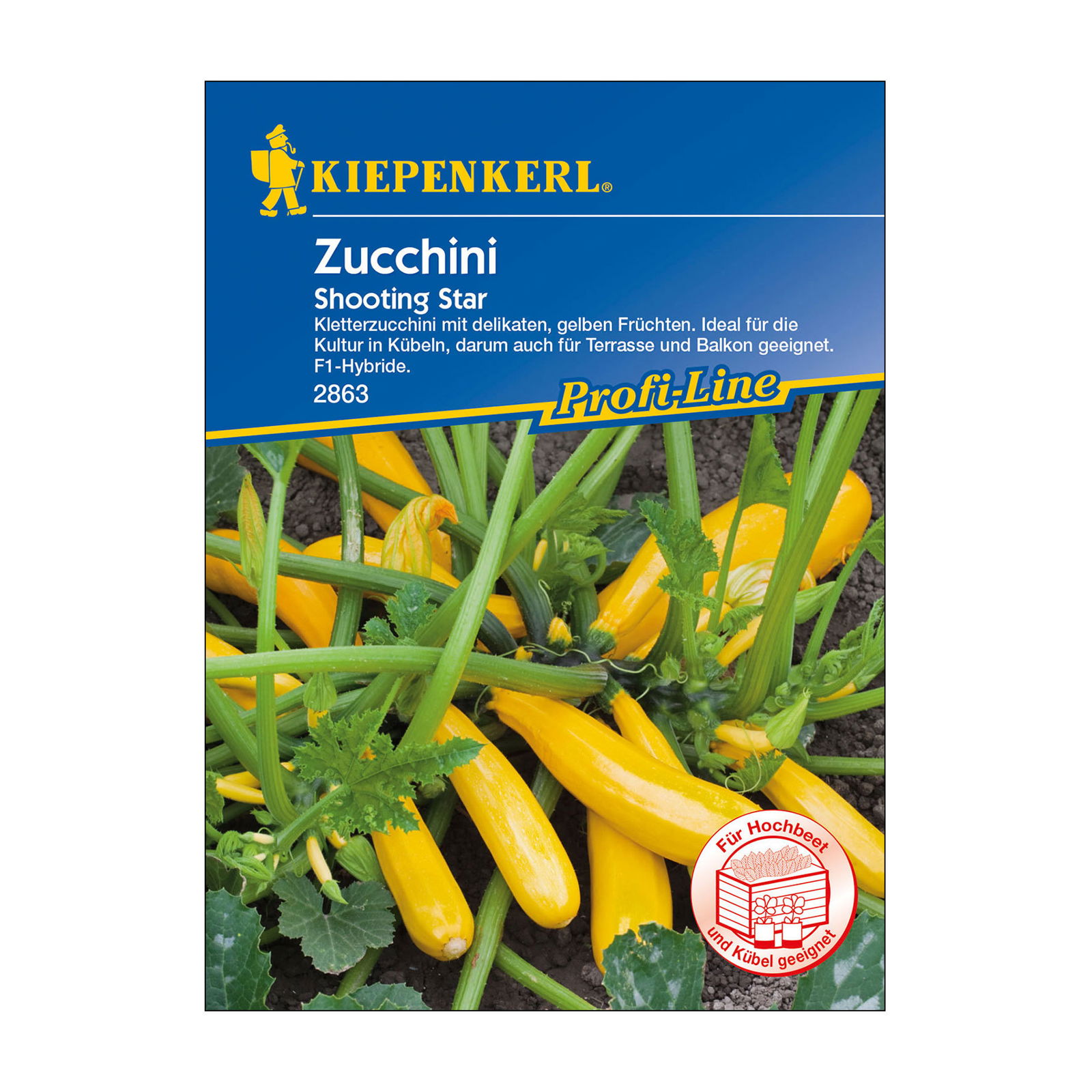 Gemüsesamen, Zucchini 'Shooting Star', gelb