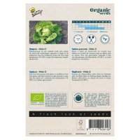 Gemüsesamen, Kopfsalat 'Hilde 2', grün, 0,1 g