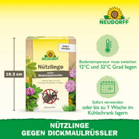 Neudorff Bestell-Set Nützlinge gegen Dickmaulrüssler, 50 Mio Stück Neudorff Bestell-Set Nützlinge gegen Dickmaulrüssler, 50 Mio Stück